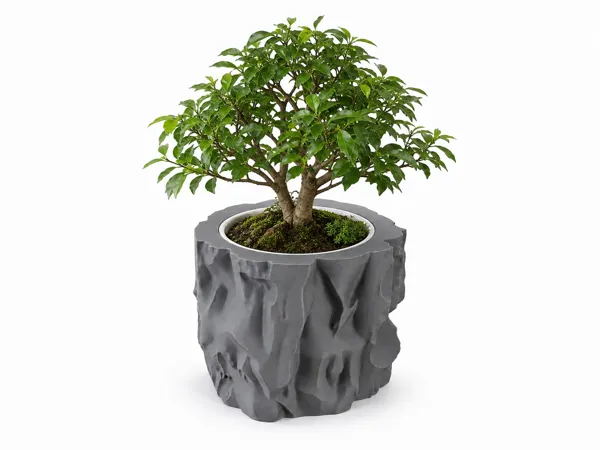 https://makerworld.bblmw.com/makerworld/model/US17ff7cc36c69c7/design/255aa7e6c88568f2.png