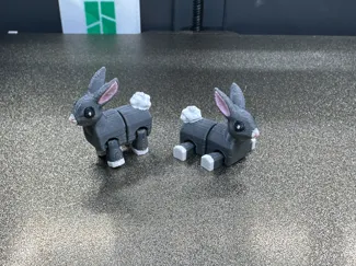 Flexi Bunny