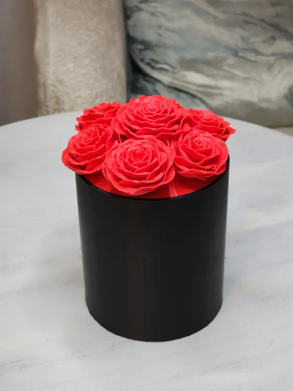 https://makerworld.bblmw.com/makerworld/model/US180bf61c5448cd/design/2024-05-02_b4b119d1677a7.jpg