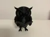 0.16mm layer, 2 walls, 15% infill
