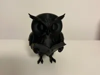 0.16mm layer, 2 walls, 15% infill