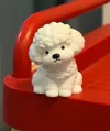 Cashmere Puppy - Multicolor