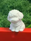 Cashmere Puppy - Monochrome