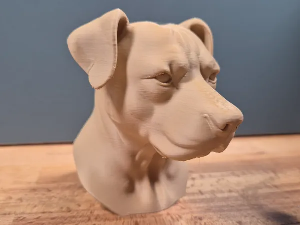 https://makerworld.bblmw.com/makerworld/model/US18120bff4b84d4/design/2025-05-13_9652f70510608.jpg