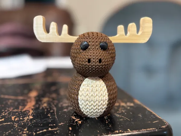 https://makerworld.bblmw.com/makerworld/model/US1812fcd96f389d/design/2025-04-05_84dc8e6c12a7b8.jpeg