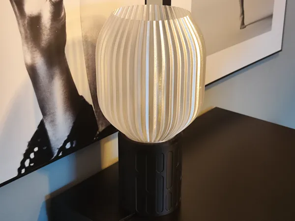 https://makerworld.bblmw.com/makerworld/model/US18150165a91238/design/2025-04-23_2fa7ce7a923158.jpg