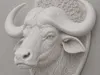 Buffalo
