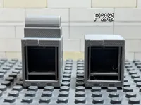 P2S