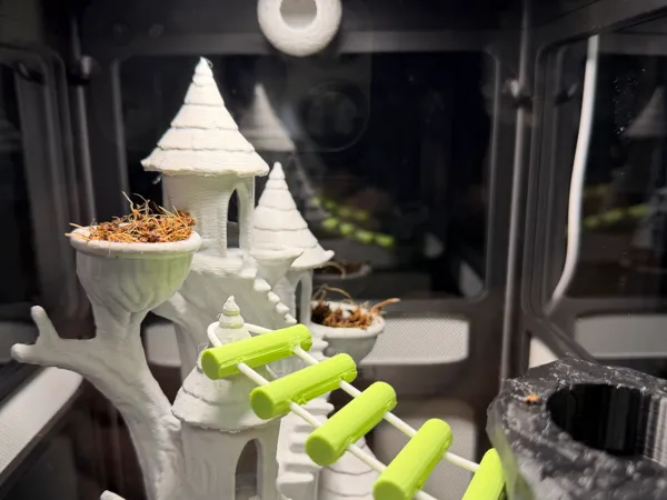 https://makerworld.bblmw.com/makerworld/model/US1819cc3e99a1a/design/386415de2f567330.jpeg