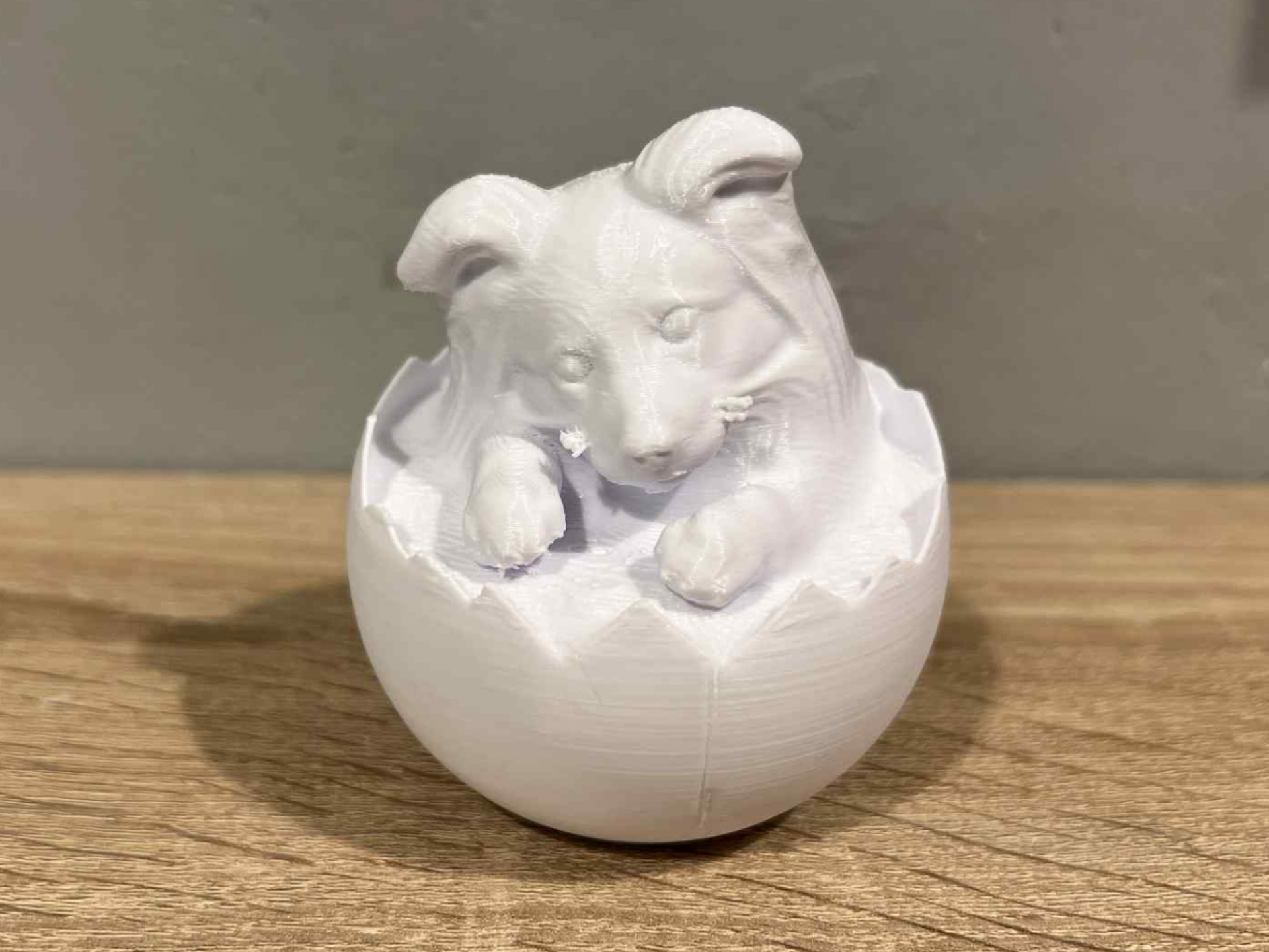 Easter Egg with Border Collie - Dog - Animal