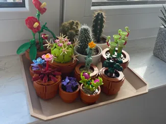 Plant Plate