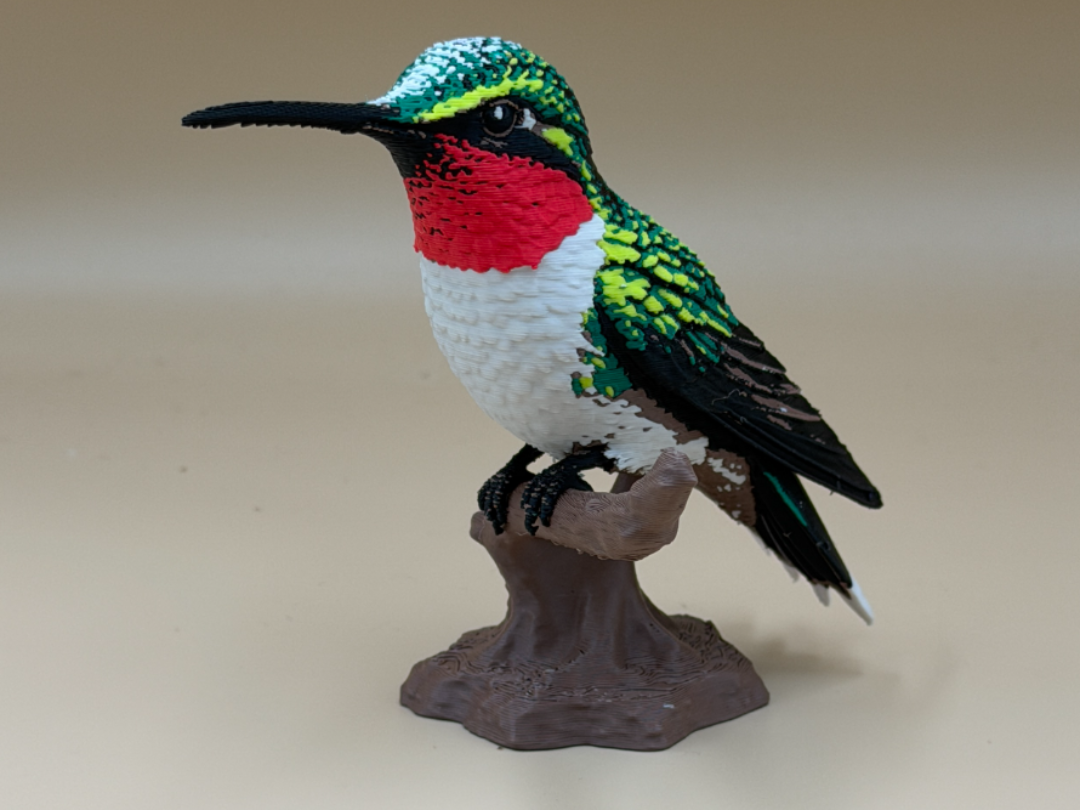 Ruby-Throated Hummingbird - 1