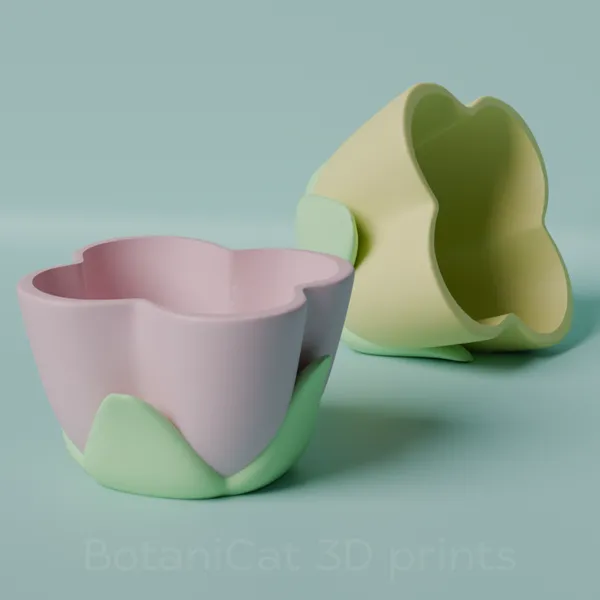 https://makerworld.bblmw.com/makerworld/model/US18226478c6afd/design/2024-11-19_600c180141508.png