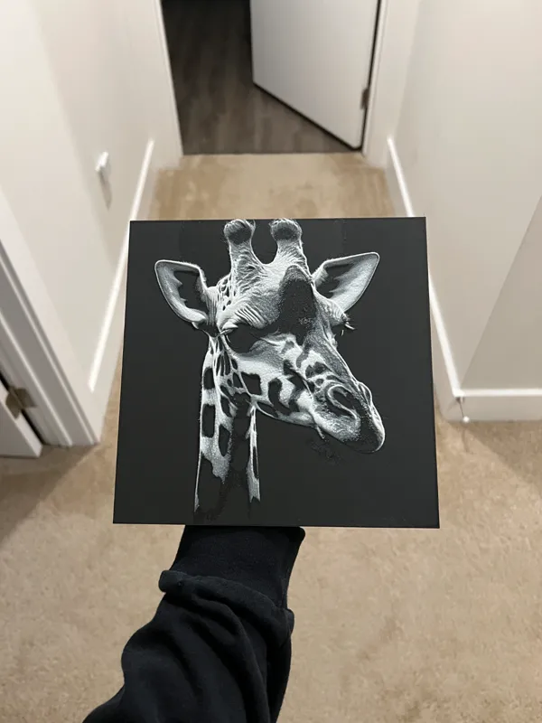 https://makerworld.bblmw.com/makerworld/model/US1826600e477034/design/2024-04-09_d64b82cb8609c.jpg
