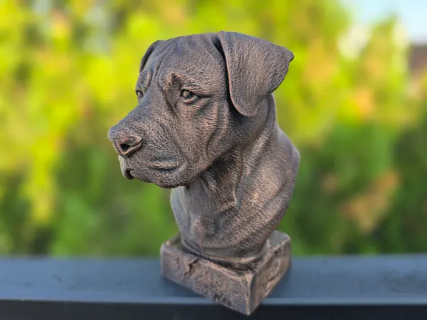 https://makerworld.bblmw.com/makerworld/model/US1827402ec3bc78/design/2025-06-03_6ec7ff2d45a2b8.jpg