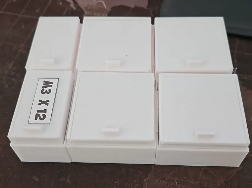 Organiseur modulaire pour vis