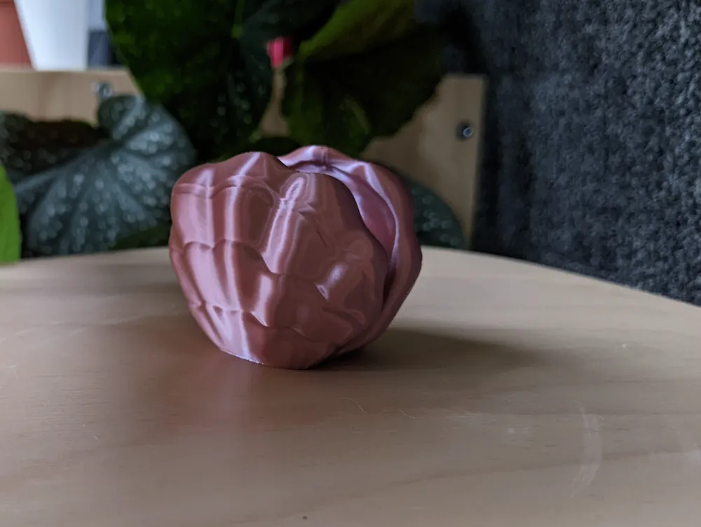 Cute Clam - Free 3D Print Model - MakerWorld