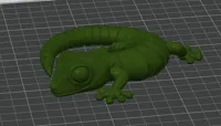 Gecko articulé — photo 5