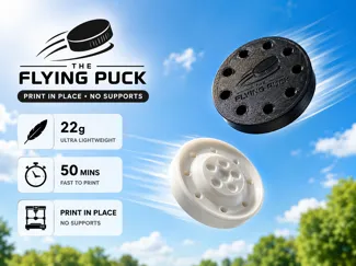 THE FLYING PUCK - Mini Frisbee