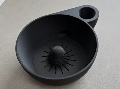 Fruit Washer