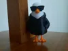 seagull AMS