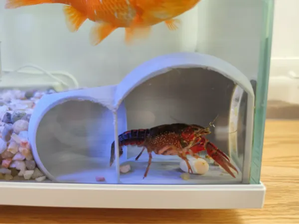 https://makerworld.bblmw.com/makerworld/model/US18312333531eac/design/2024-10-23_2128a42c25a2a.jpg