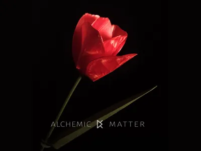 Origami Flower