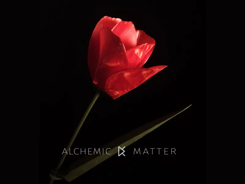 Origami Flower