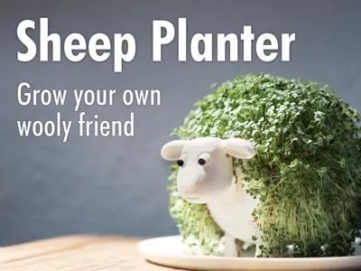 Sheep Planter