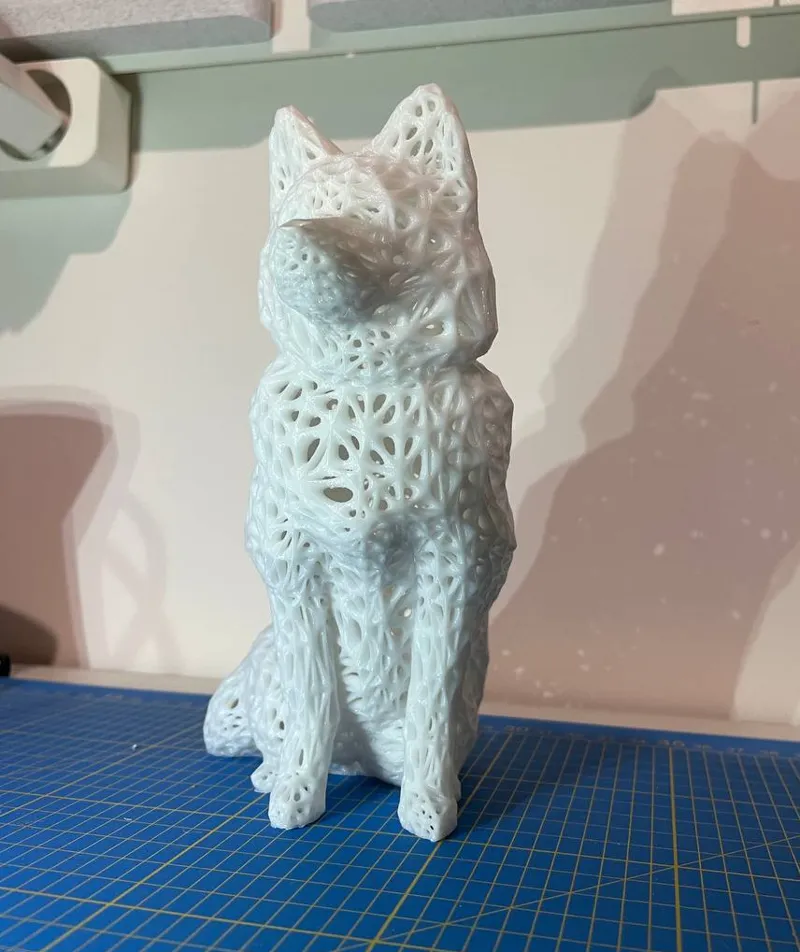 Voronoi Husky