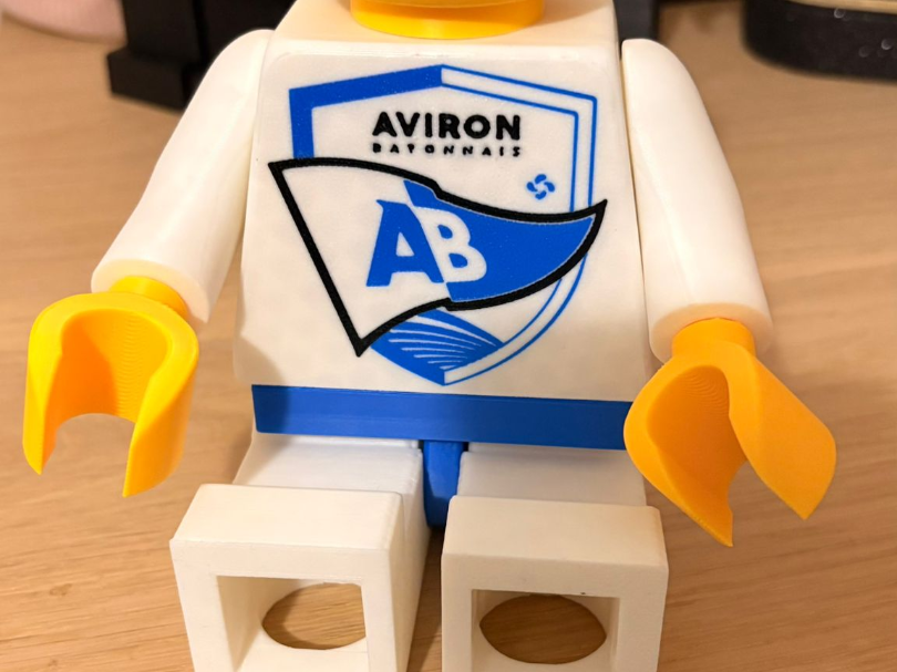 Brick man Rugby Top 14 Aviron Bayonnais
