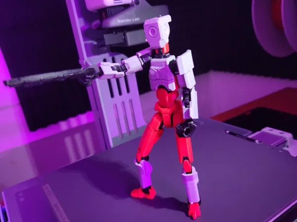 https://makerworld.bblmw.com/makerworld/model/US18446f0820b3a0/design/2024-12-03_69685fa8bfe31.png