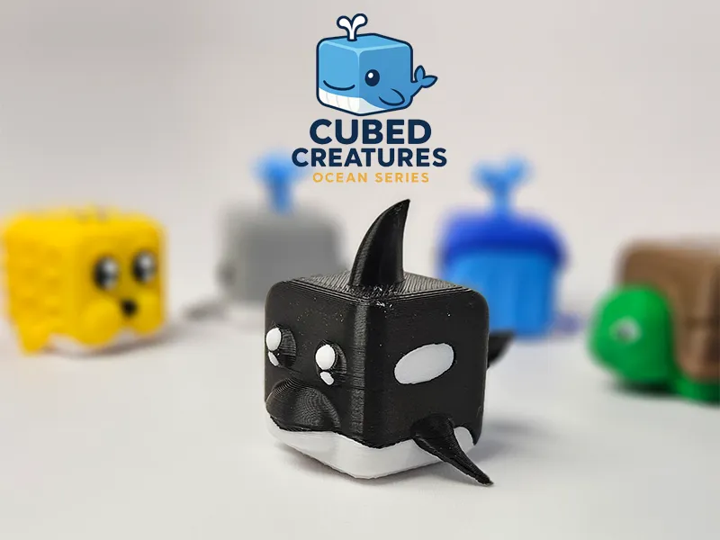 The Square Orca