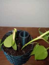 Tube d'arrosage automatique pour plantes — photo 5