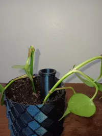 Tube d'arrosage automatique pour plantes — photo 6