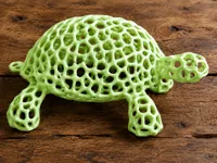 Tartaruga Voronoi