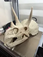 A2L Extra Large 0.2mm layer, 3 walls, 5% infill