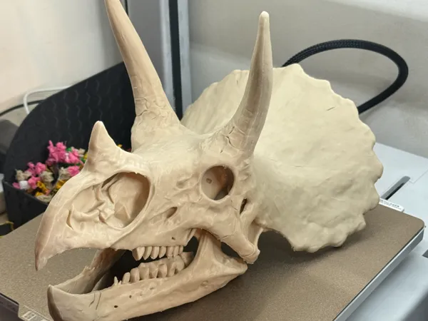 https://makerworld.bblmw.com/makerworld/model/US184bffcab621f4/design/2025-12-01_302f614ee9ffc.jpg