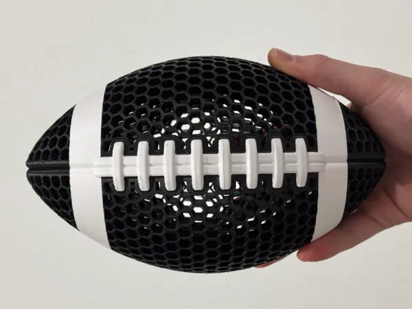 https://makerworld.bblmw.com/makerworld/model/US184e94e26576ae/design/2025-02-02_12852be24eaec.jpg