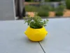 0.2mm layer, 2 walls, 8% infill