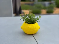 0.2mm layer, 2 walls, 8% infill