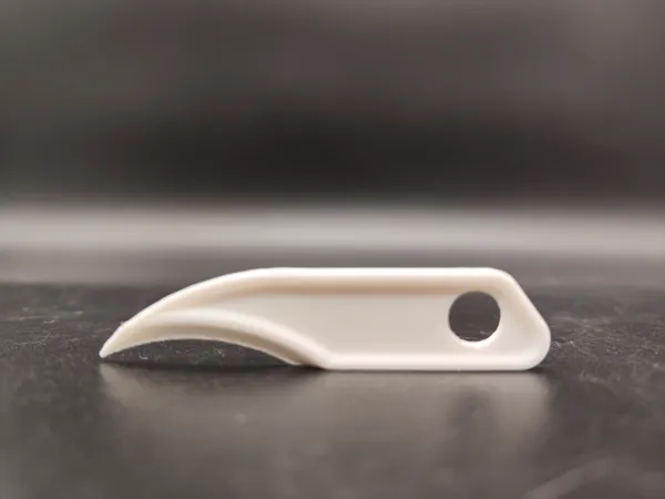 https://makerworld.bblmw.com/makerworld/model/US1854820b9898f0/design/2024-12-21_65d56c313da9f.jpg