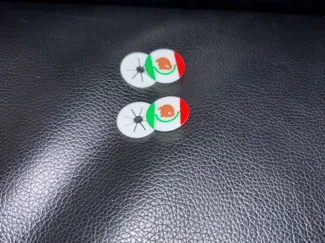 Mexican Flag Running Bib Clip