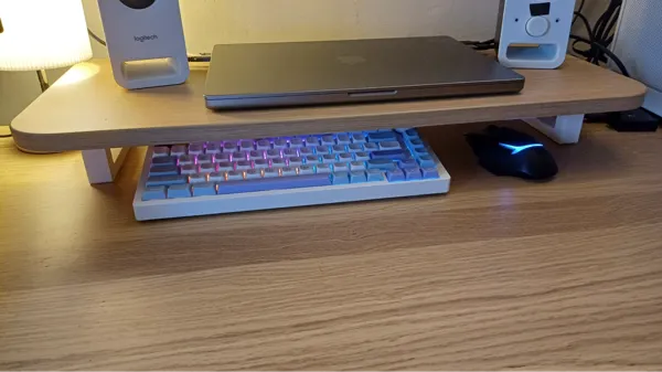 https://makerworld.bblmw.com/makerworld/model/US18560c6c16e2e0/design/2024-10-15_ff106aae7585a.jpg