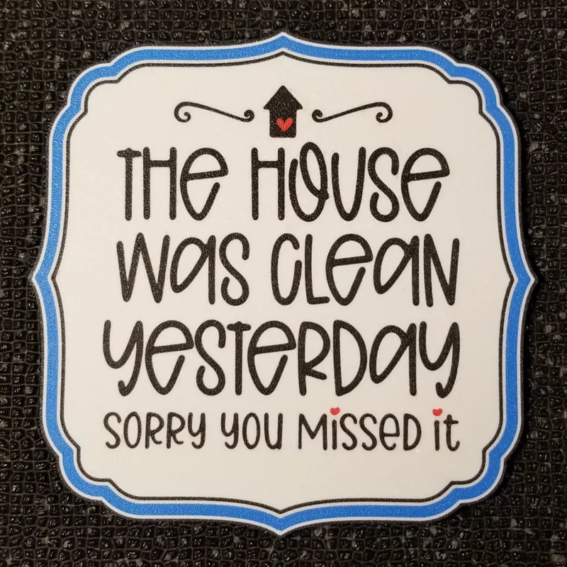 The House Was Clean Yesterday...!