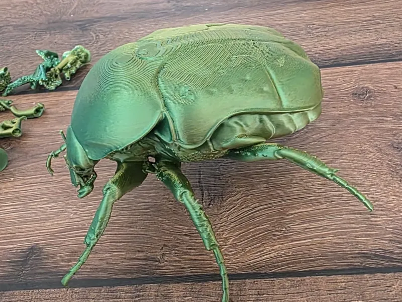 Rosenkäfer