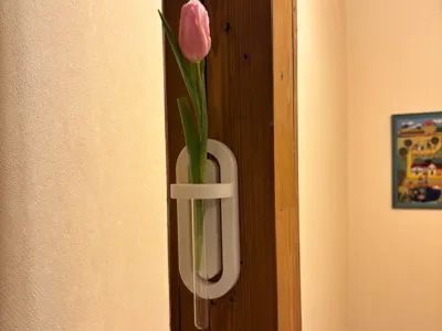 Modern Wall Vase (Test Tube)