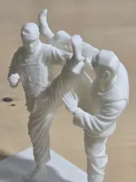 Trophée Taekwondo — photo 5