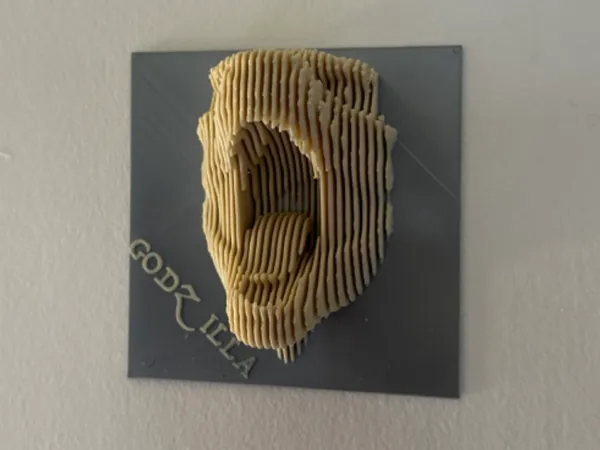 https://makerworld.bblmw.com/makerworld/model/US18648447a78286/design/2025-03-04_933c282848a448.jpg