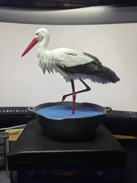 Stork color version :)